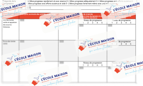 projet d'apprentissage gabarit 2