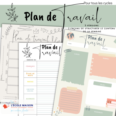 Plan de travail