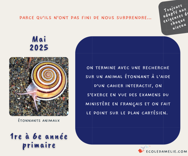 24-25-primaire-mai